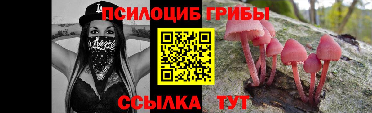 Псилоцибиновые грибы Psilocybe  Галлюциногенные грибы Magic Shrooms  Североуральск  Вход с VPN 